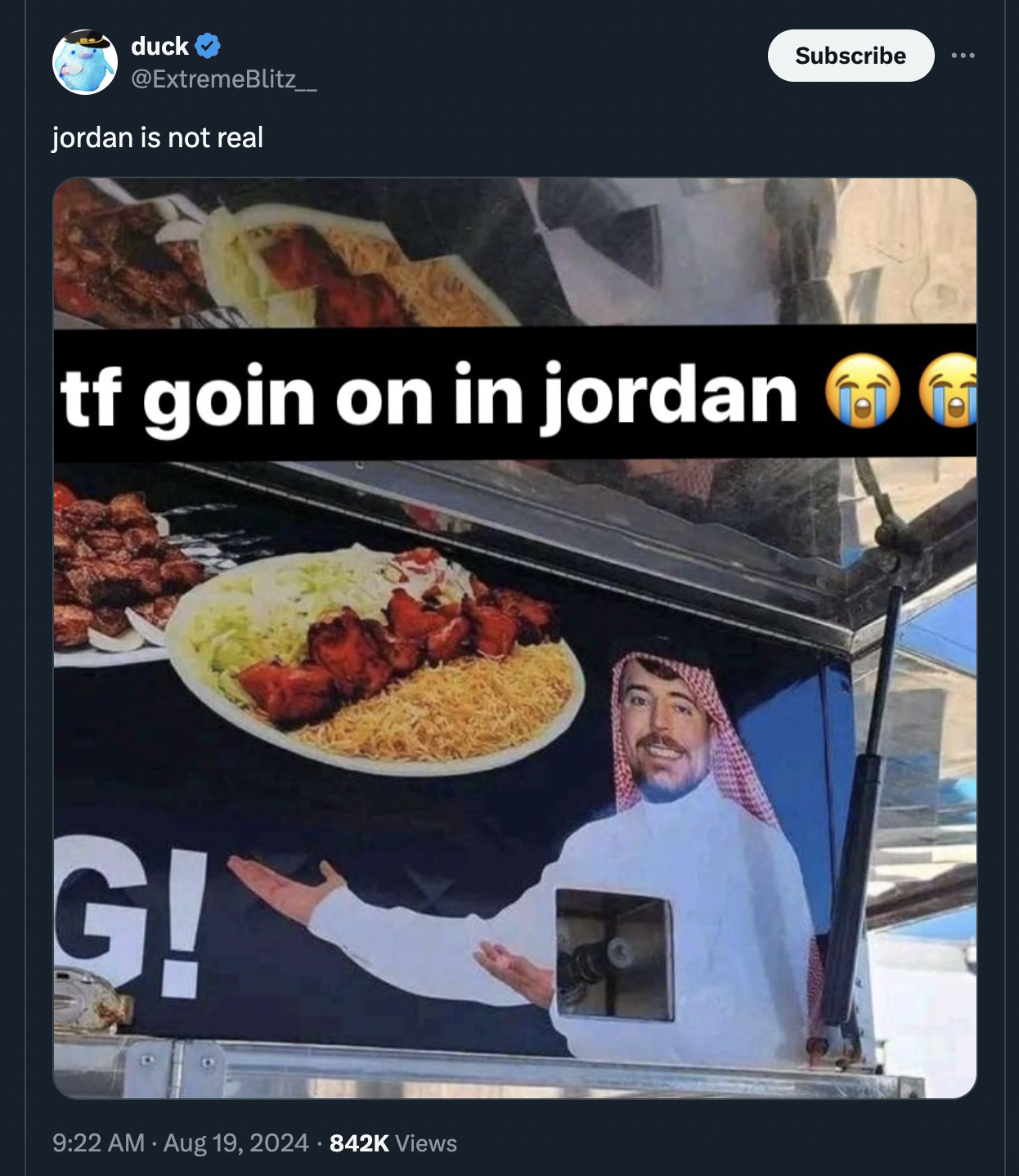 mr beast halal cart - duck jordan is not real tf goin on in jordan G! Views Subscribe